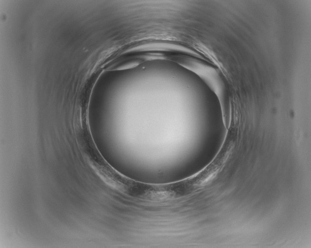 X0000073900205200608111138