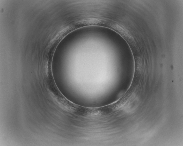 X0000073900206200608111138