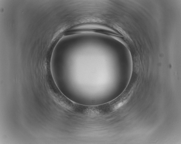 X0000073900207200608111138