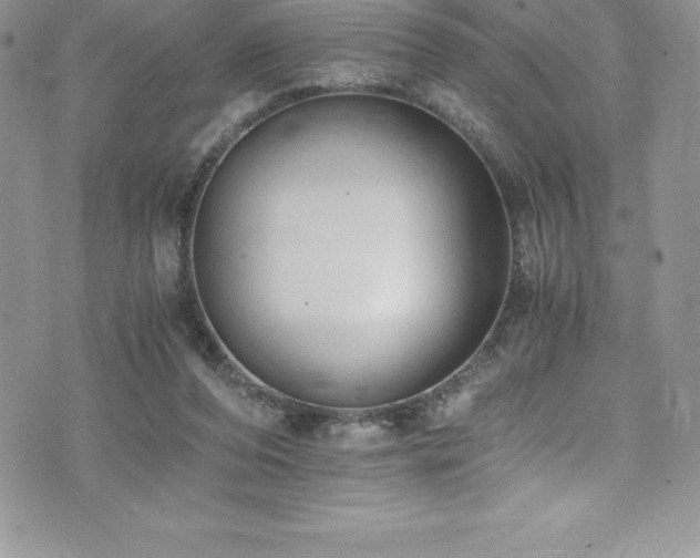 X0000073900208200608111138