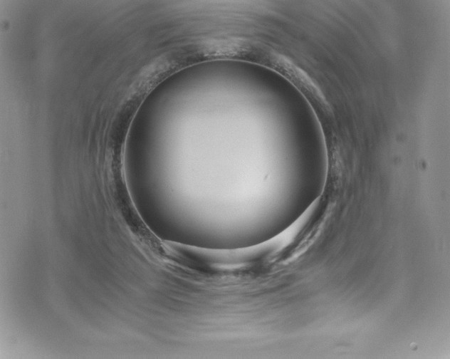 X0000073900209200608111138