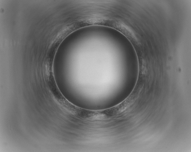 X0000073900210200608111138