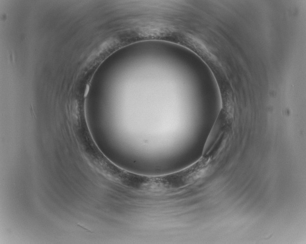 X0000073900211200608111138