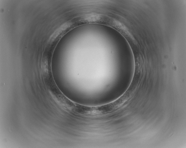 X0000073900212200608111138