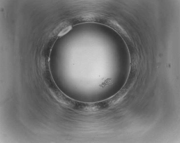 X0000073900213200608111138