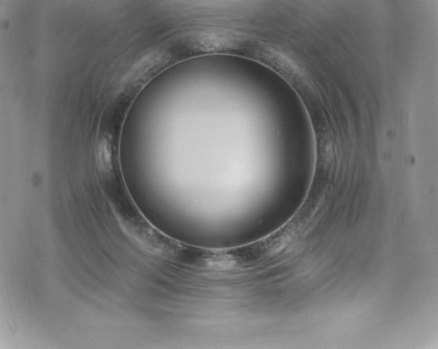 X0000073900214200608111138