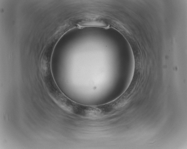 X0000073900215200608111138