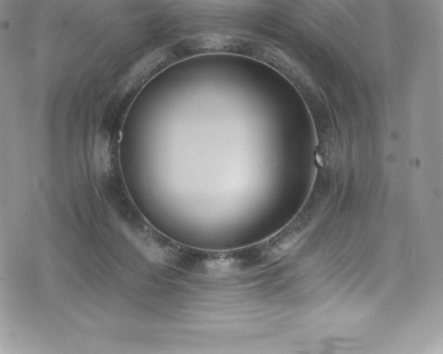 X0000073900216200608111138