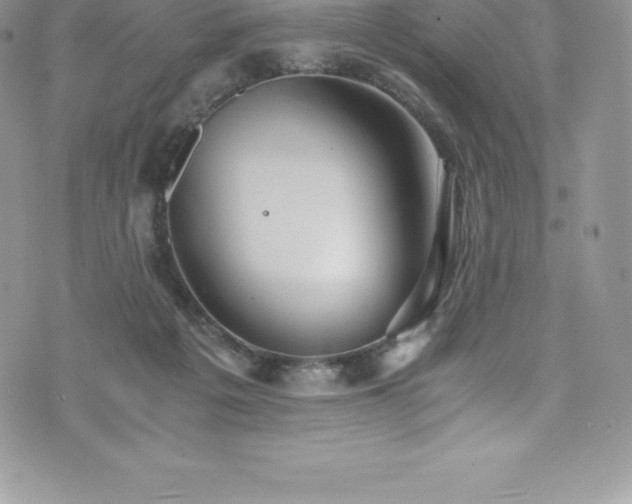 X0000073900217200608111138