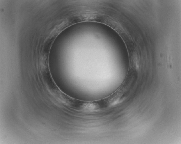 X0000073900218200608111138