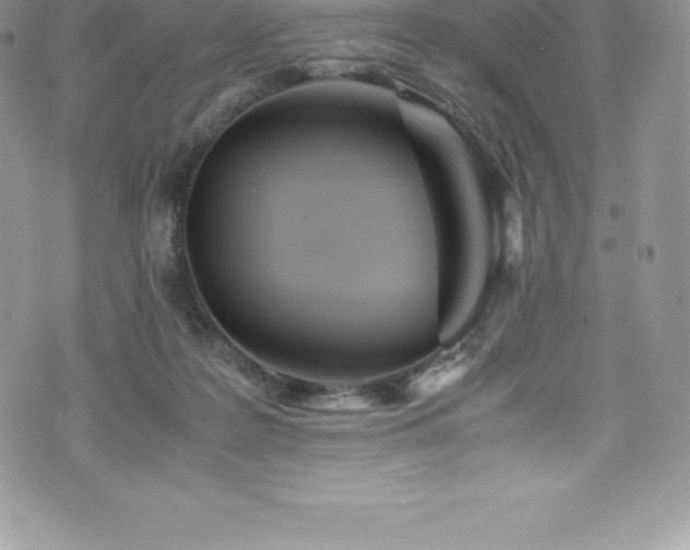 X0000073900219200608111138