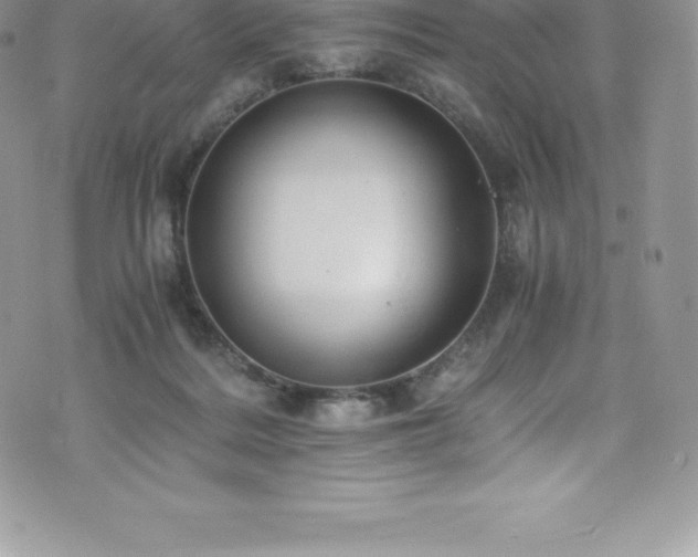 X0000073900220200608111138