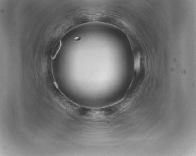 X0000073900221200608111138