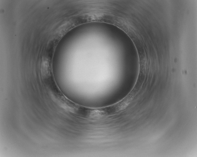 X0000073900222200608111138