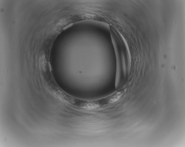 X0000073900223200608111138