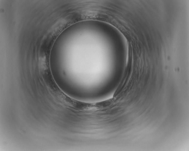 X0000073900224200608111138