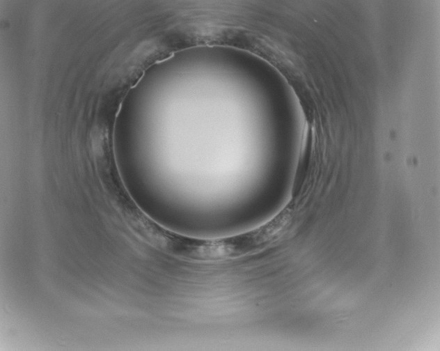 X0000073900225200608111138