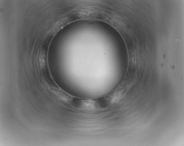 X0000073900226200608111138