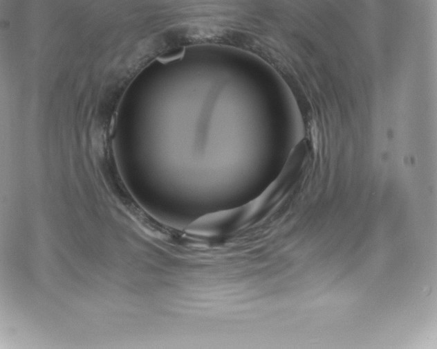 X0000073900227200608111138