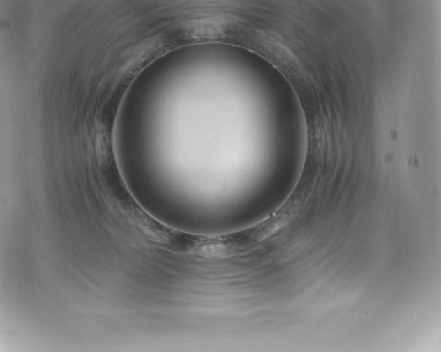 X0000073900228200608111138