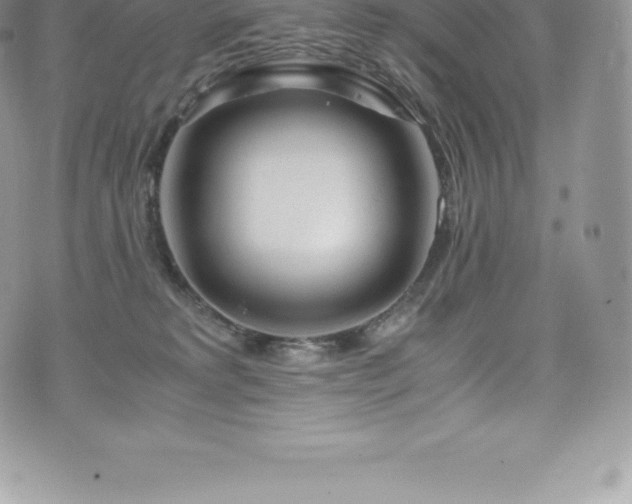 X0000073900229200608111138