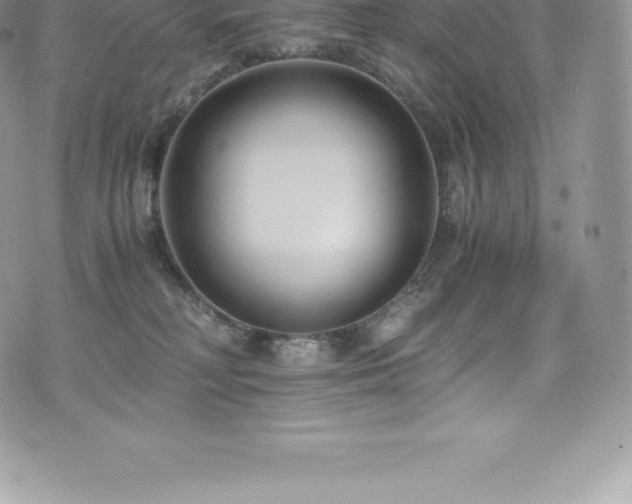 X0000073900230200608111138