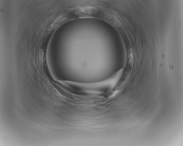 X0000073900231200608111138