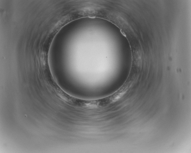 X0000073900232200608111138