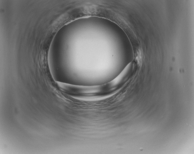 X0000073900233200608111138