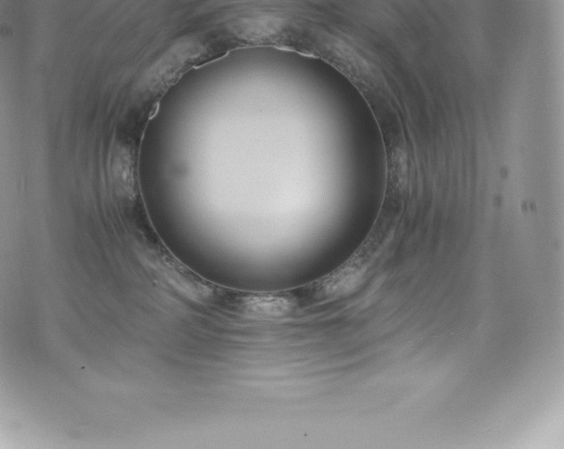 X0000073900234200608111138