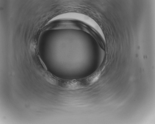 X0000073900235200608111138