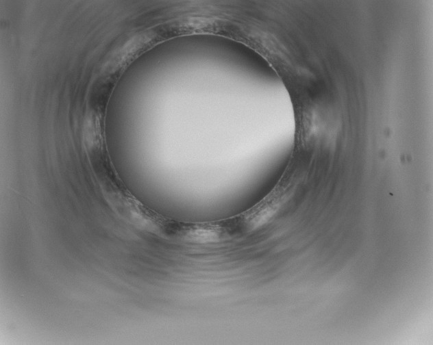 X0000073900236200608111138