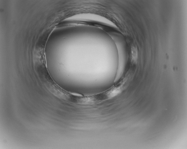 X0000073900237200608111138