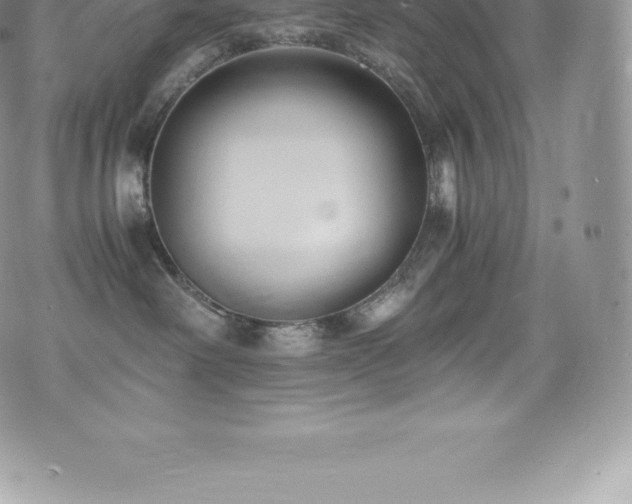 X0000073900238200608111138