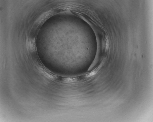 X0000073900239200608111138