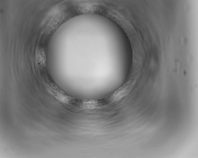 X0000073900240200608111138