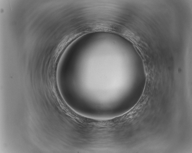 X0000073900241200608111137