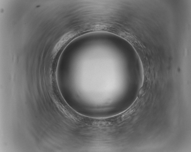 X0000073900242200608111137