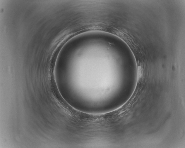 X0000073900243200608111137