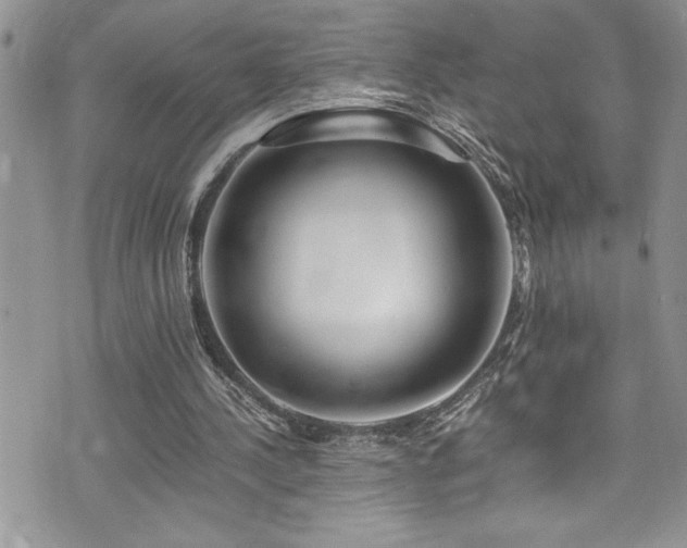 X0000073900244200608111137