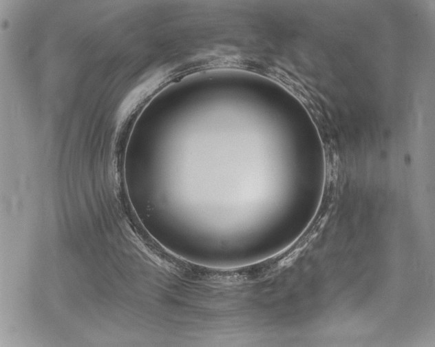 X0000073900245200608111137