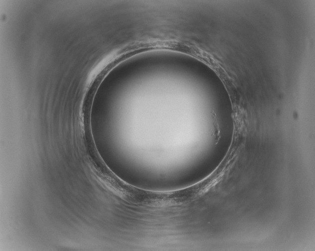 X0000073900246200608111137