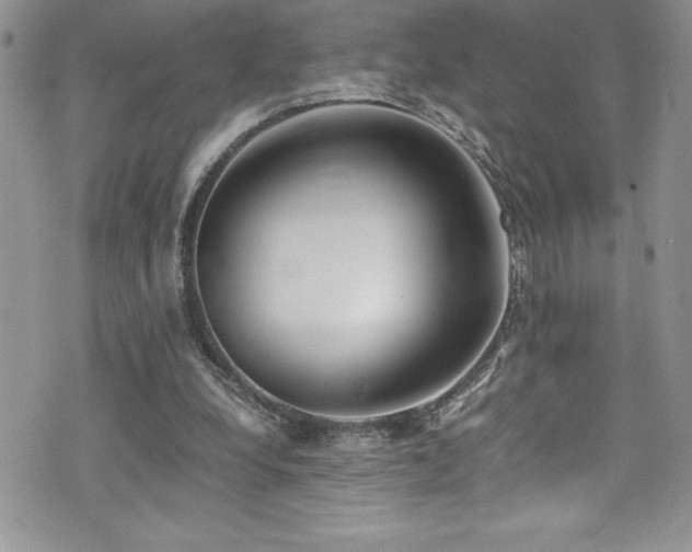 X0000073900248200608111137