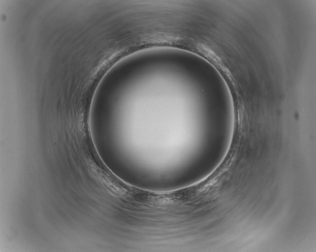 X0000073900249200608111137