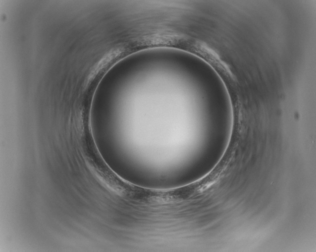 X0000073900250200608111137