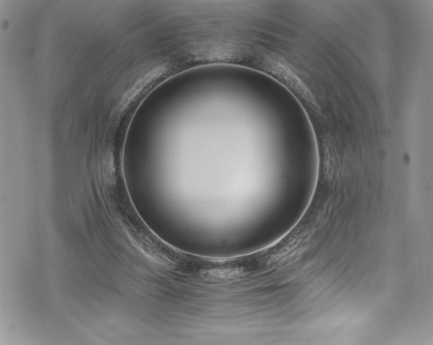 X0000073900251200608111137