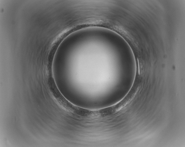 X0000073900252200608111137