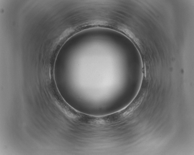 X0000073900253200608111137