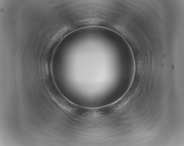 X0000073900254200608111137