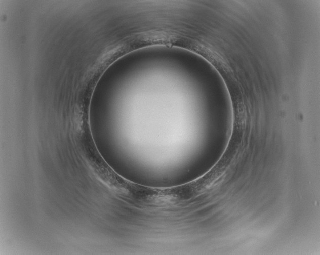 X0000073900255200608111137